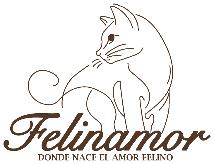 Felinamor