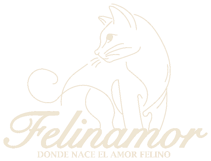 Felinamor — donde nace el amor felino