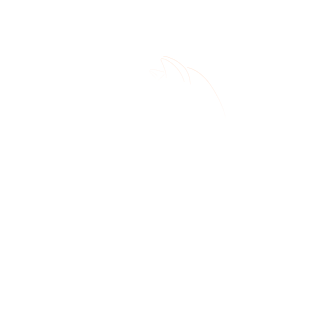 Felinamor — donde nace el amor felino
